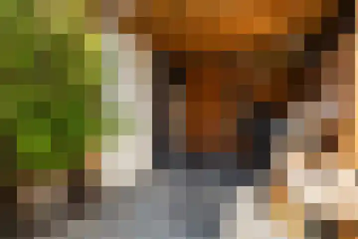 Tjalk 6 Oude Wetering thumbnail 10