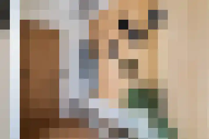 Tjalk 6 Oude Wetering thumbnail 18