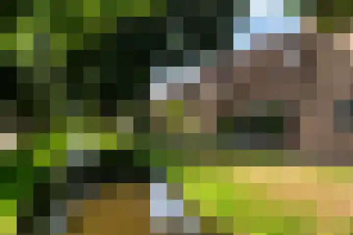 Tjalk 6 Oude Wetering thumbnail 20