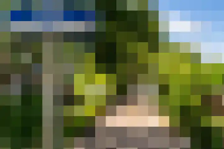 Tjalk 6 Oude Wetering thumbnail 21