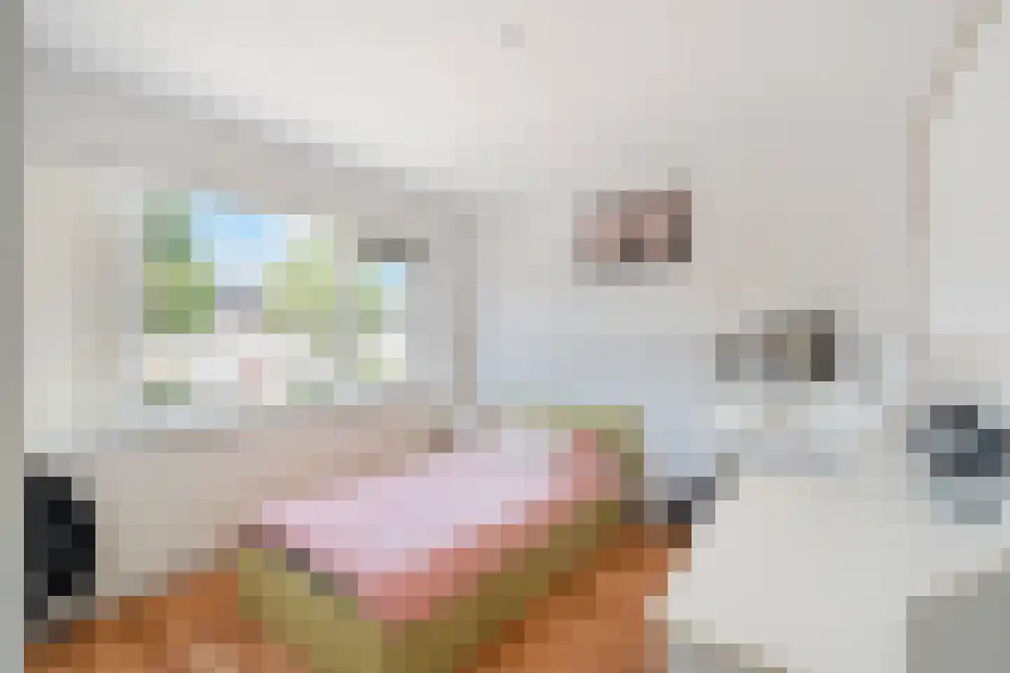 Tjalk 6 Wieringerwerf thumbnail 21