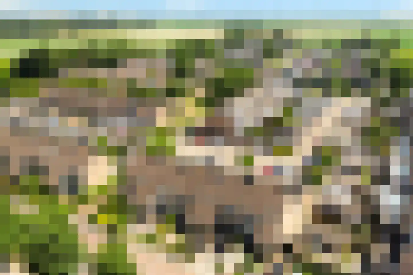 Tjalk 6 Wieringerwerf thumbnail 37