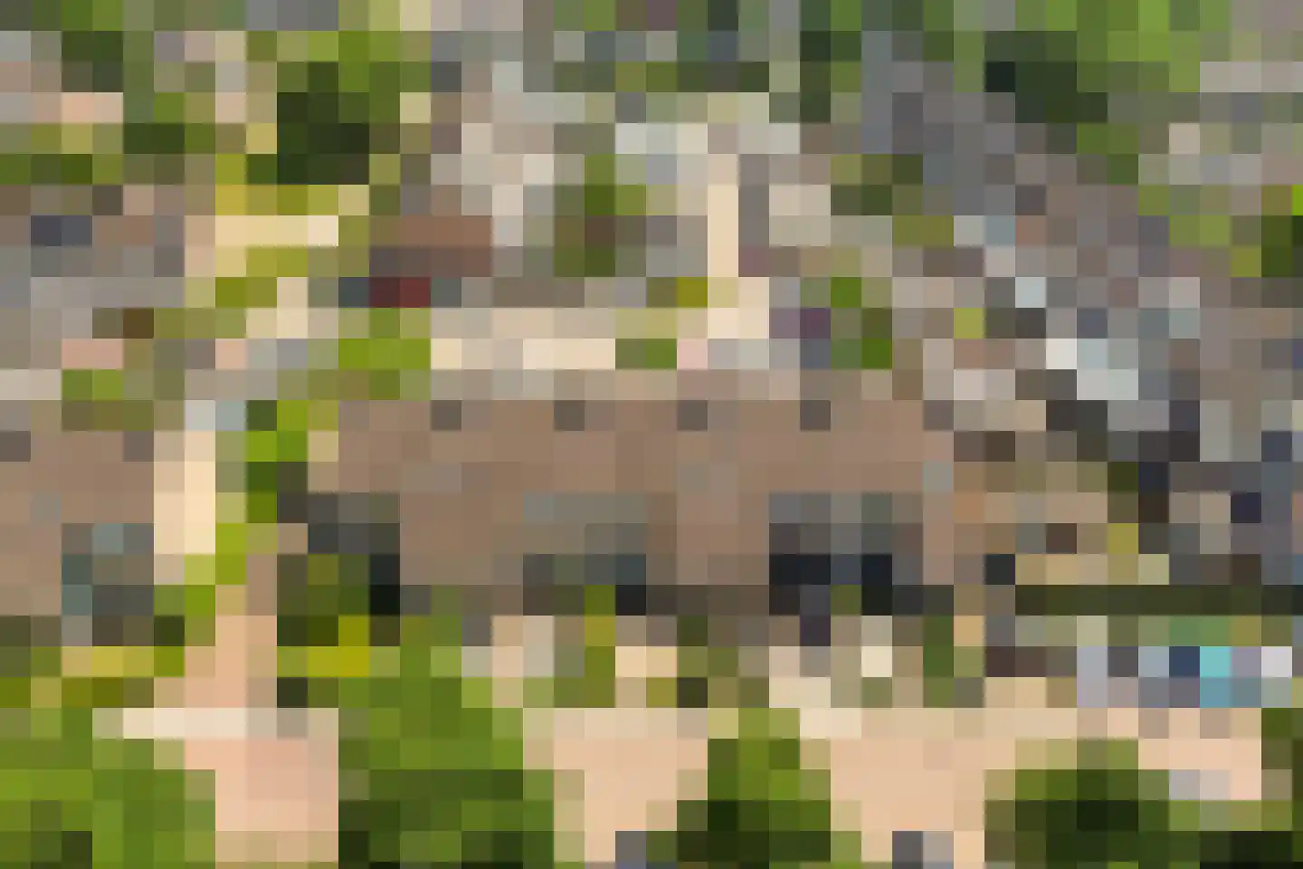 Tjalk 6 Wieringerwerf thumbnail 38