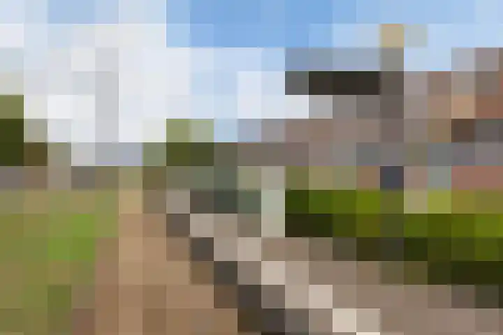Tjalk 61 Schiedam thumbnail 19