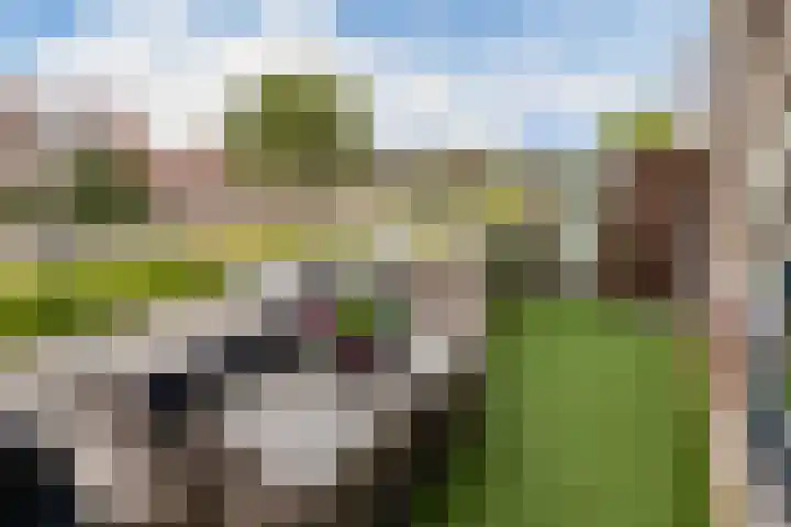 Tjalk 61 Schiedam thumbnail 22