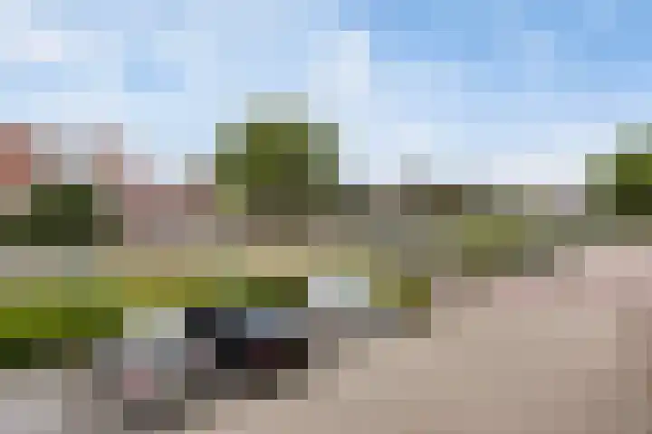 Tjalk 61 Schiedam thumbnail 23