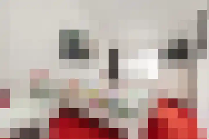 Tjalk 61 Schiedam thumbnail 27