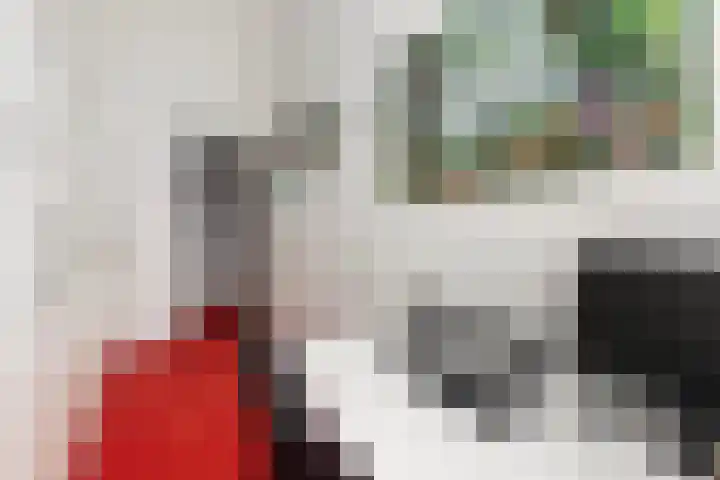 Tjalk 61 Schiedam thumbnail 30