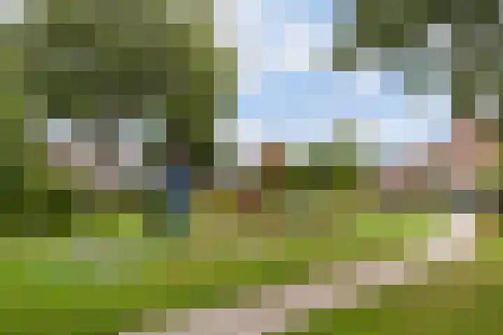 Tjalk 61 Schiedam thumbnail 31