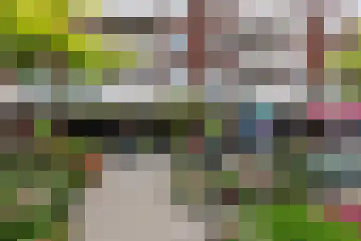 Tjalk 61 Schiedam thumbnail 34