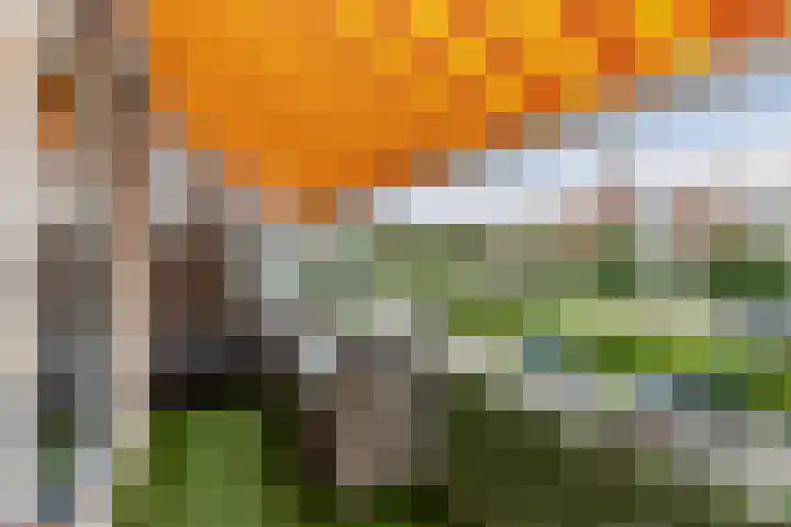 Tjalk 61 Schiedam thumbnail 5