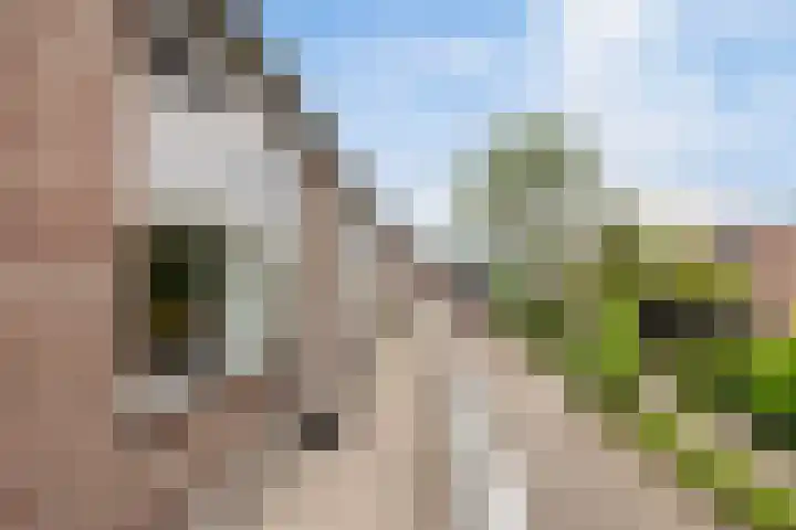 Tjalk 61 Schiedam thumbnail 8