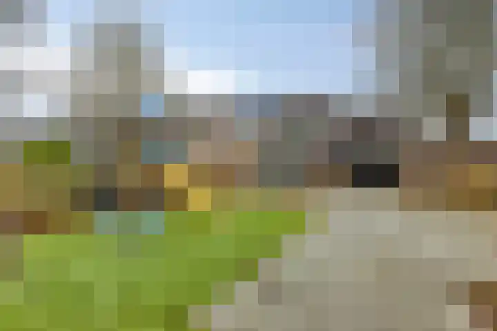 Tjalk 63 Hoorn thumbnail 33