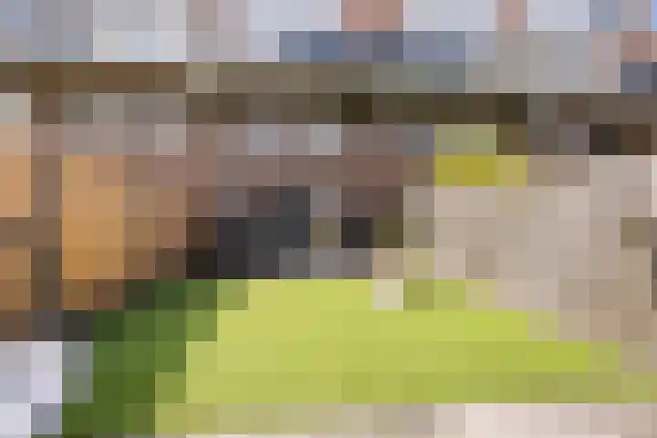 Tjalk 68 Schiedam thumbnail 15