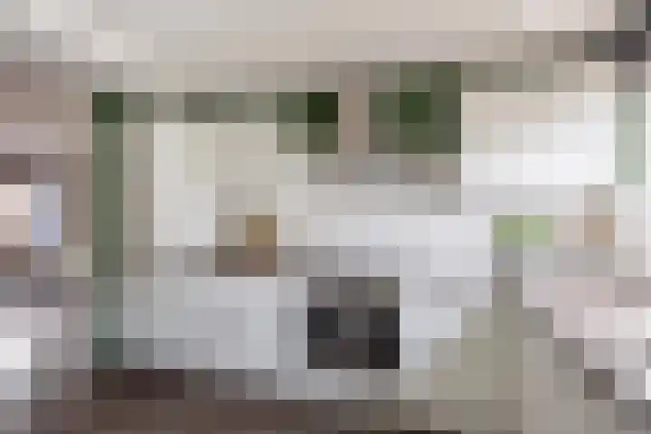 Tjalk 68 Schiedam thumbnail 19