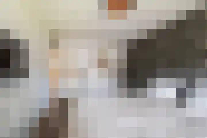 Tjalk 68 Schiedam thumbnail 23