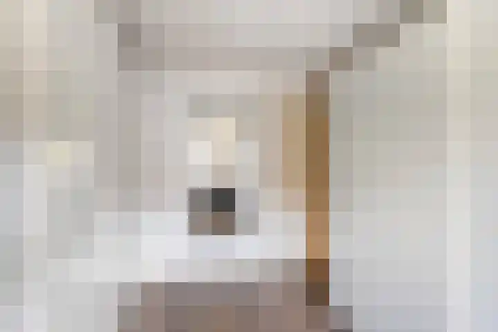 Tjalk 68 Schiedam thumbnail 27