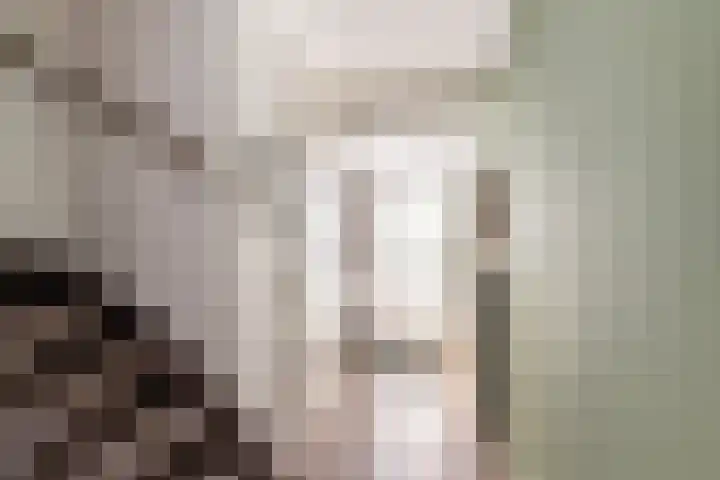Tjalk 68 Schiedam thumbnail 8