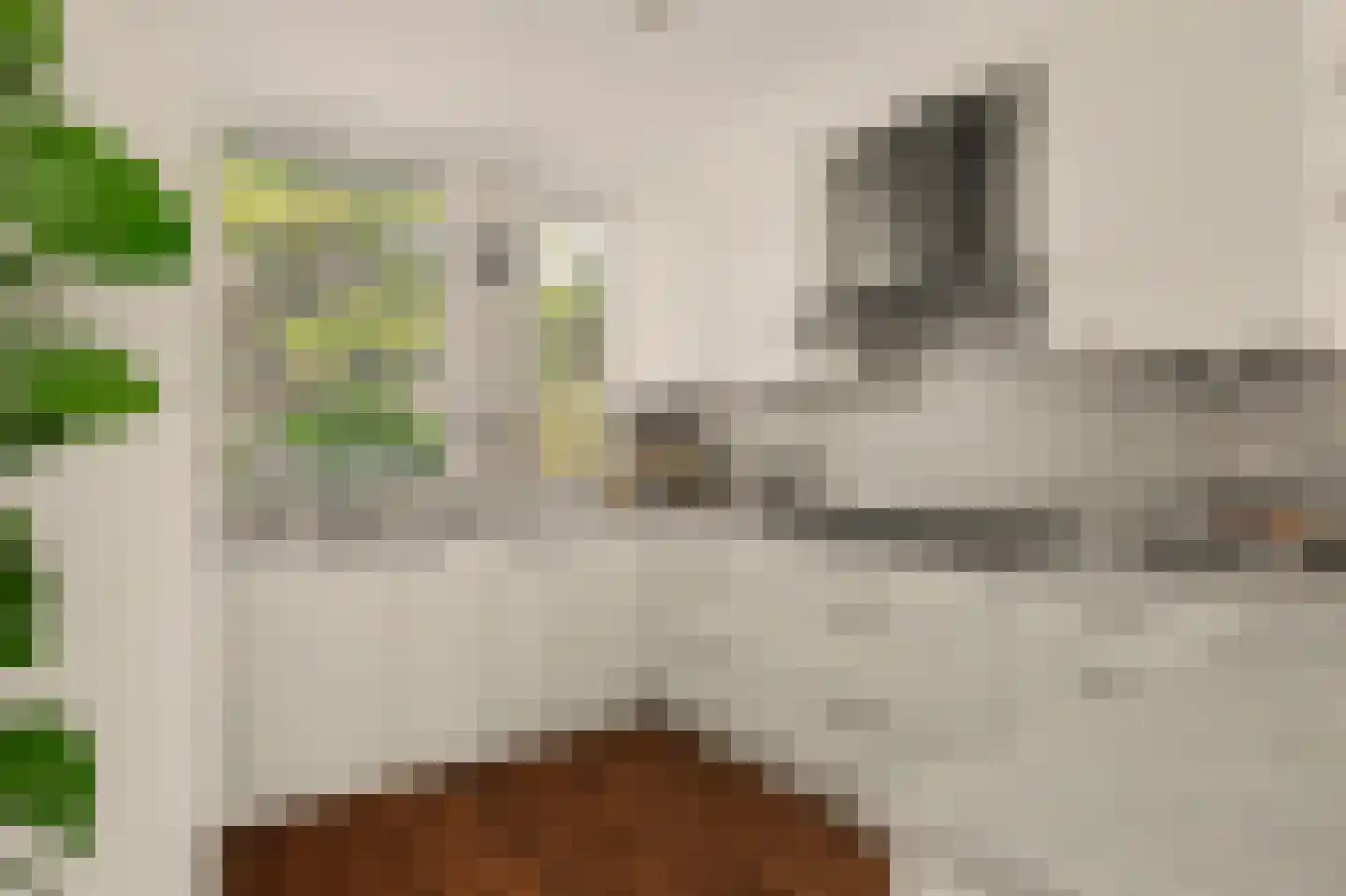 Tjalk 7 Oud-Beijerland thumbnail 19