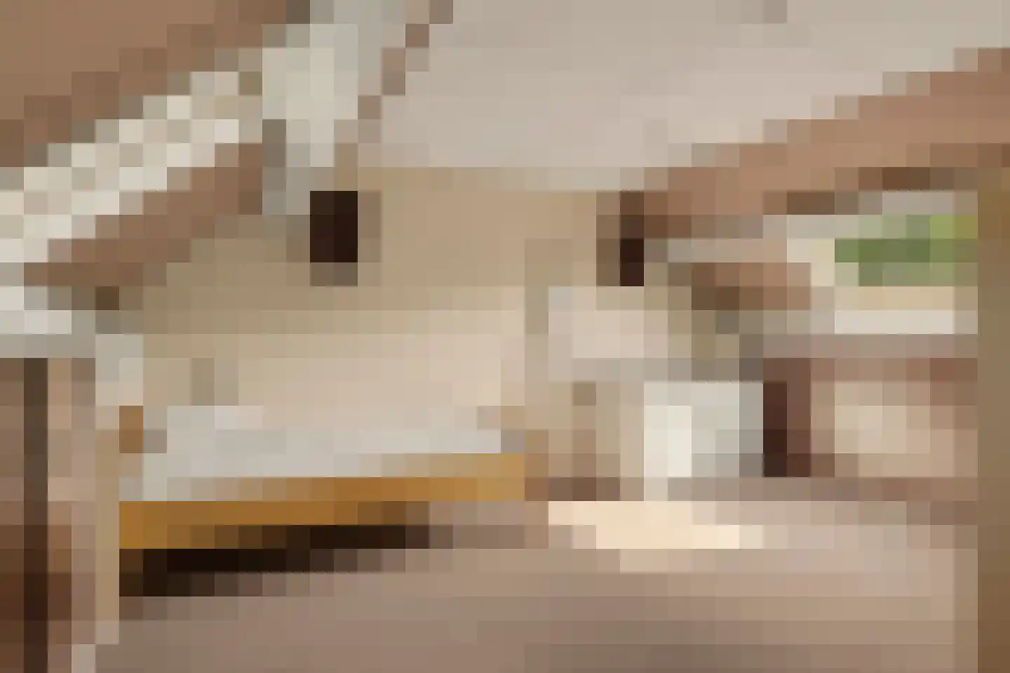Tjalk 7 Oud-Beijerland thumbnail 35
