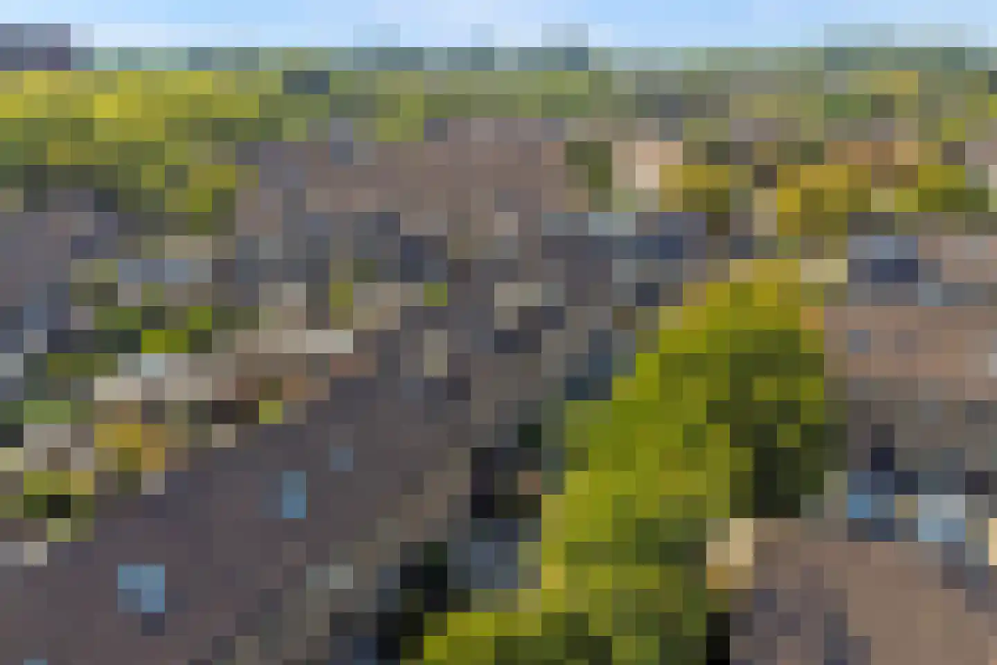 Tjalk 7 Oud-Beijerland thumbnail 50