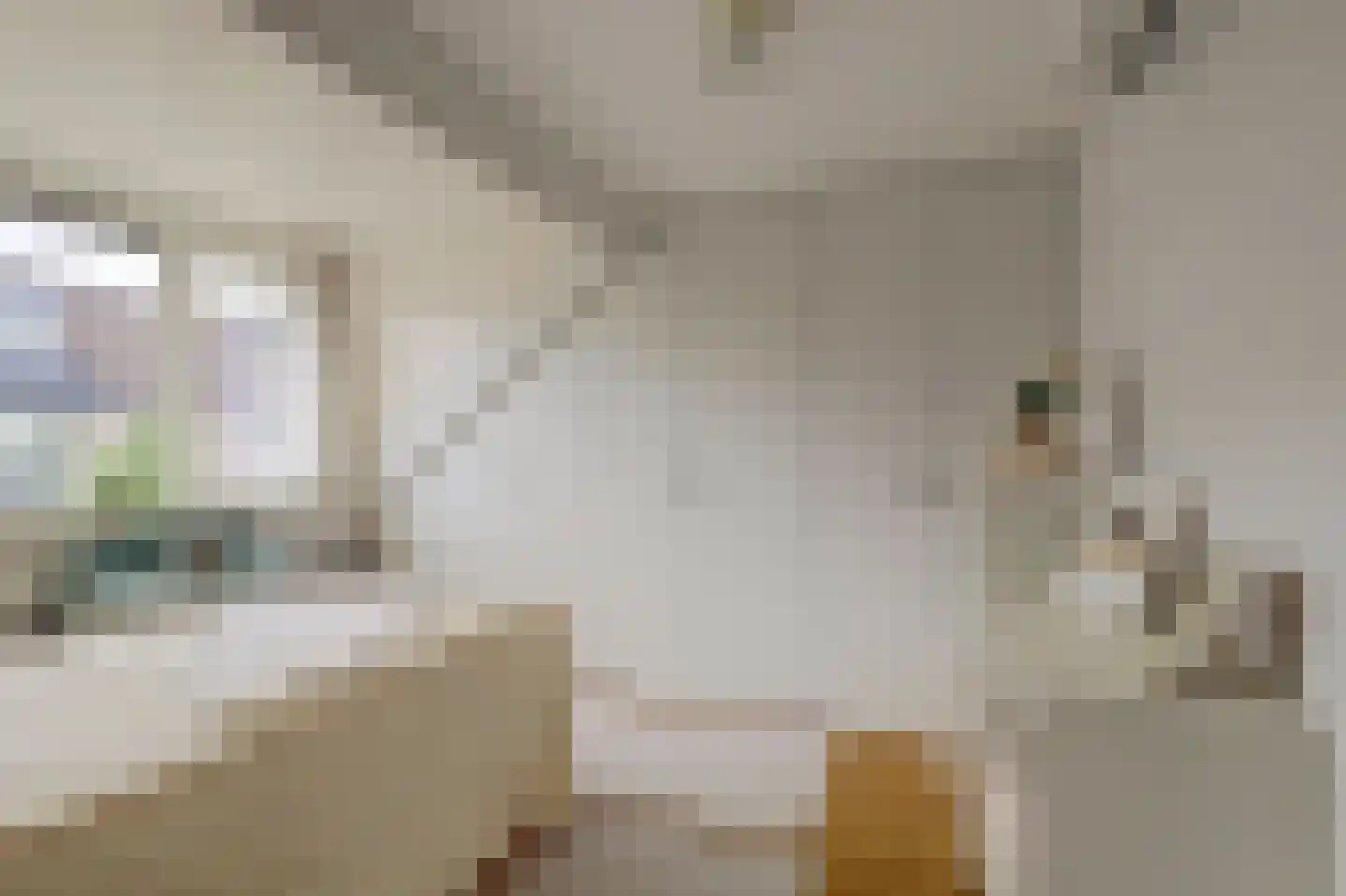 Tjalk 7 Wijk bij Duurstede thumbnail 19