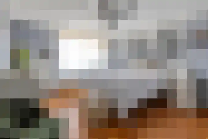 Tjalk 72 Volendam thumbnail 19