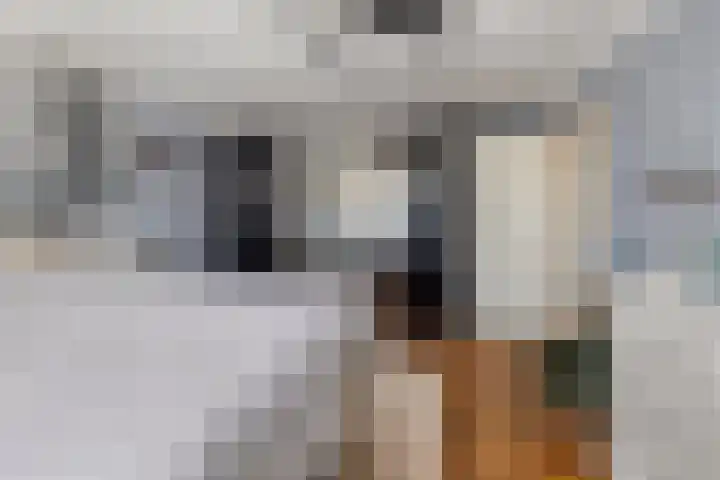 Tjalk 72 Volendam thumbnail 20
