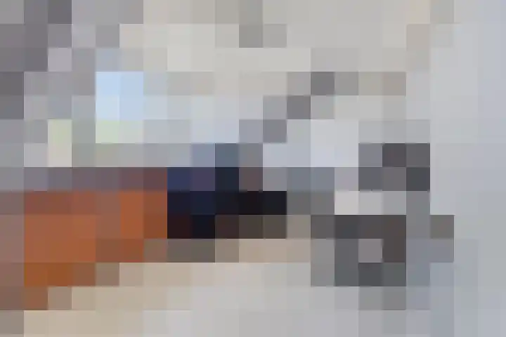 Tjalk 72 Volendam thumbnail 30