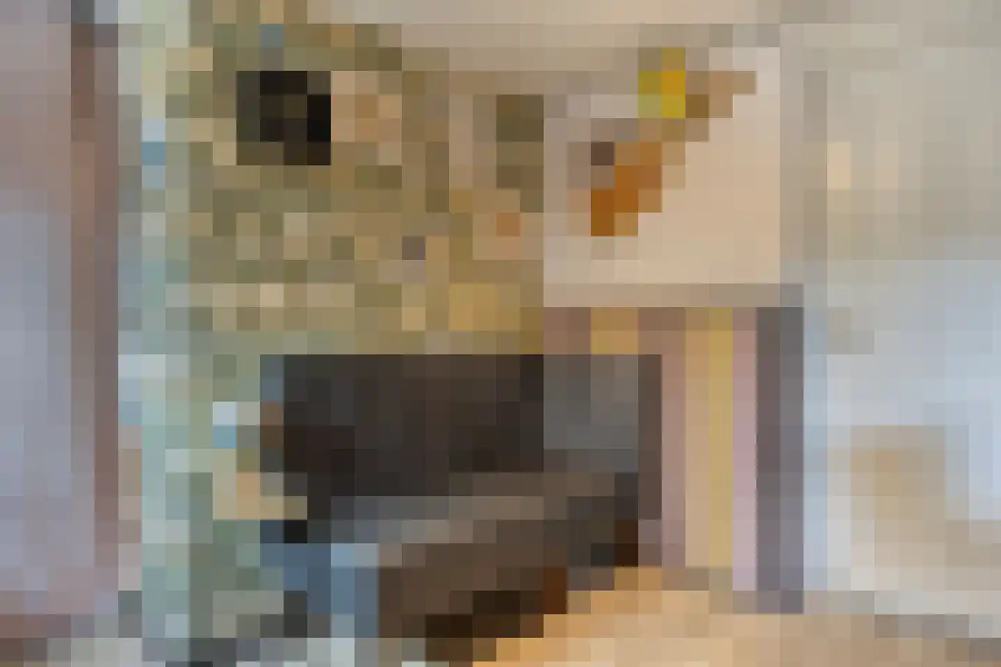Tjalk 78 Kropswolde thumbnail 20