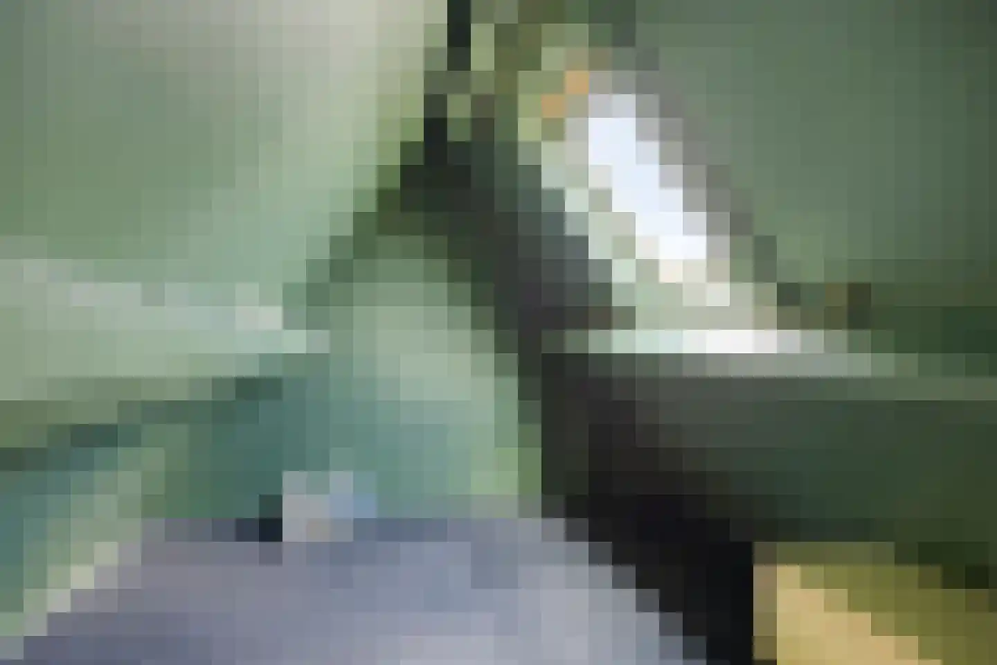 Tjalk 78 Kropswolde thumbnail 33