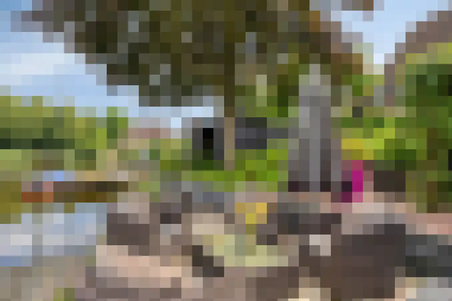 Tjalk 78 Kropswolde thumbnail 41