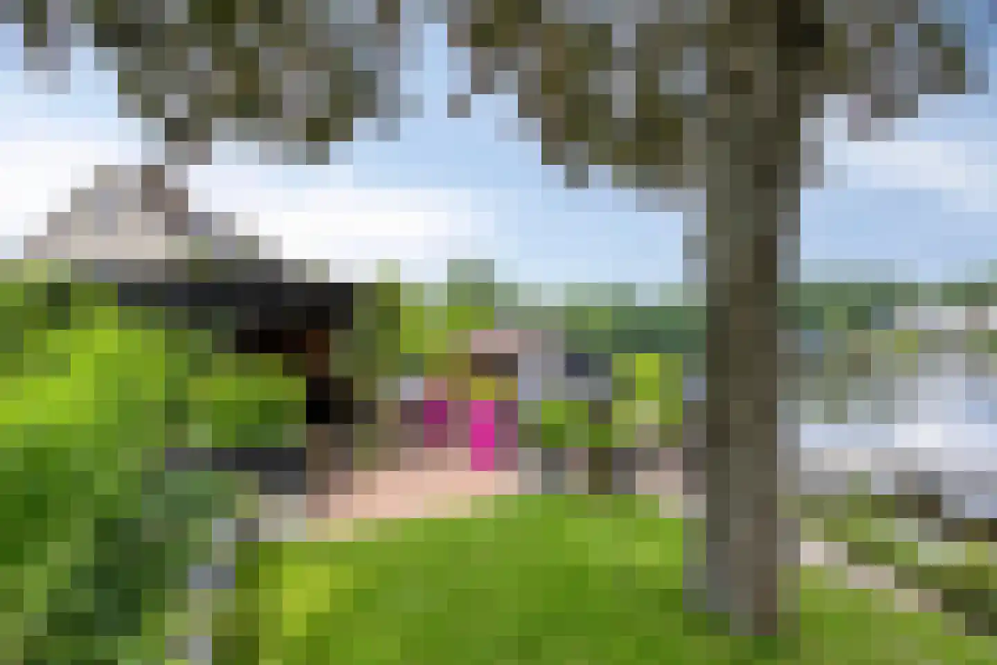 Tjalk 78 Kropswolde thumbnail 42