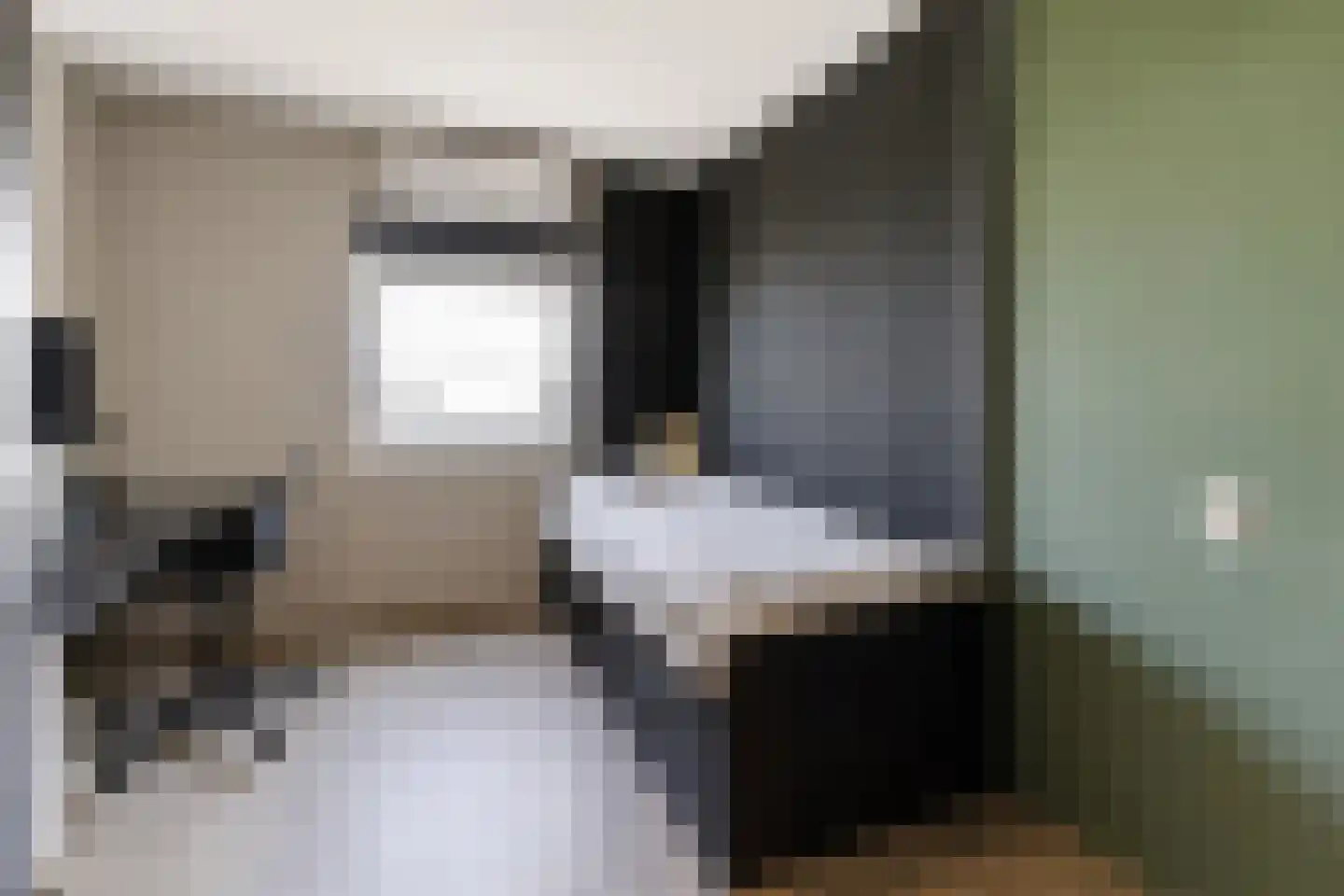 Tjalk 8 Honselersdijk thumbnail 33