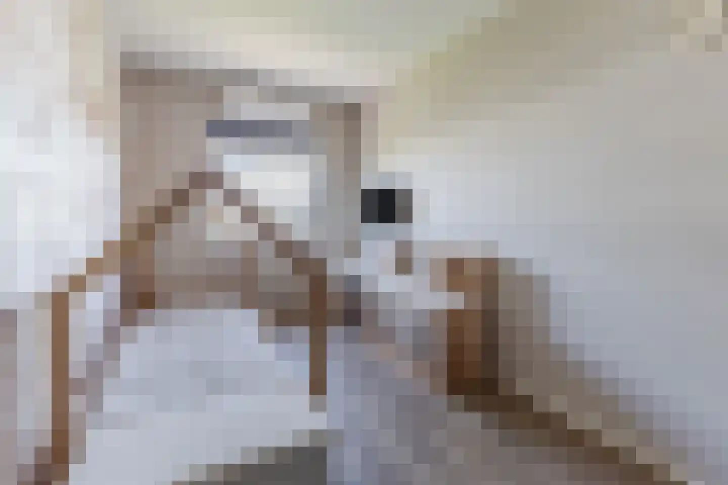 Tjalk 8 Honselersdijk thumbnail 36