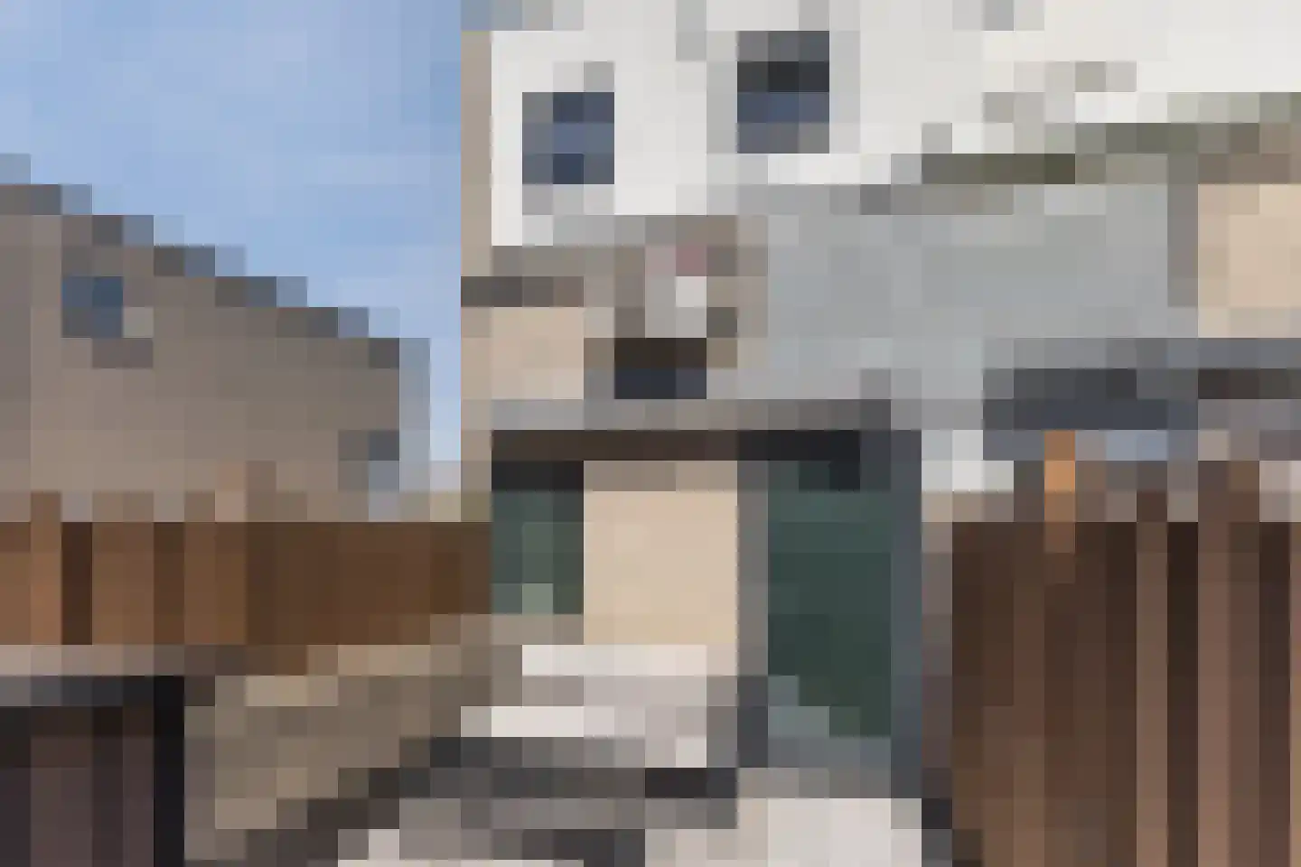 Tjalk 8 Honselersdijk thumbnail 47