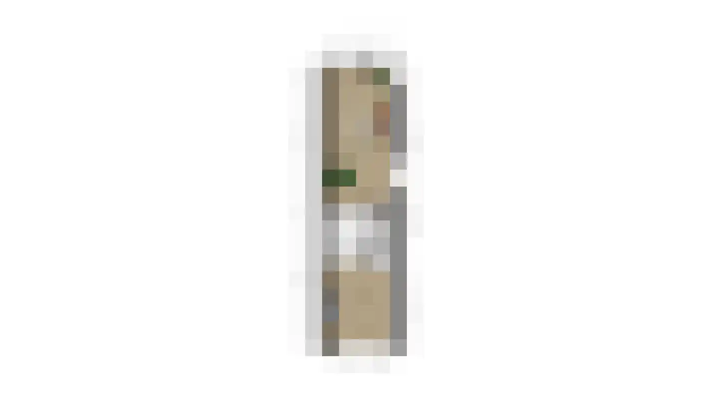 Tjalk 8 Honselersdijk thumbnail 50