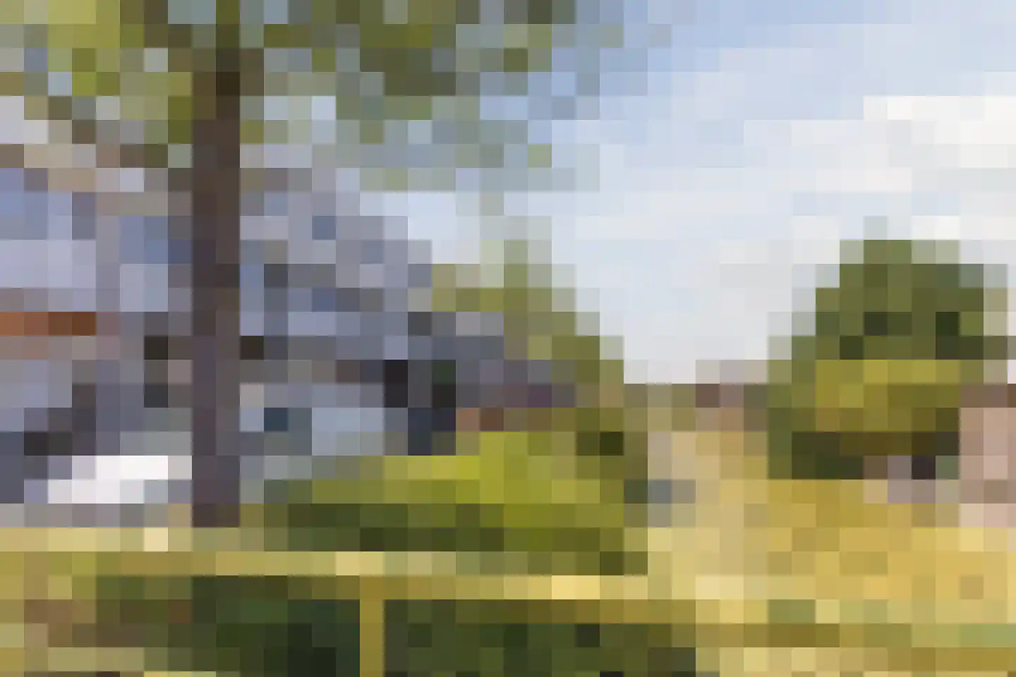 Tjalk 8 Honselersdijk thumbnail 51