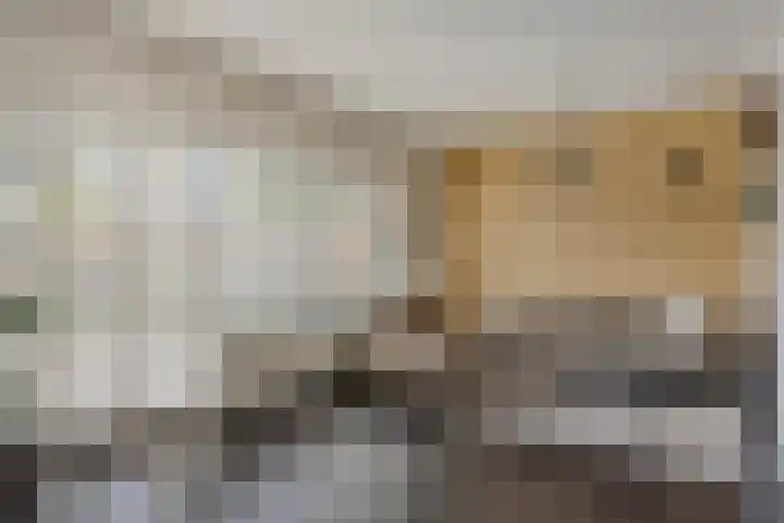 Tjalk 83 Hoorn thumbnail 5