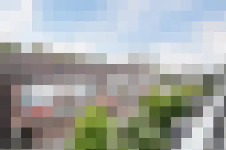 Tjalk 98 Schiedam thumbnail 13