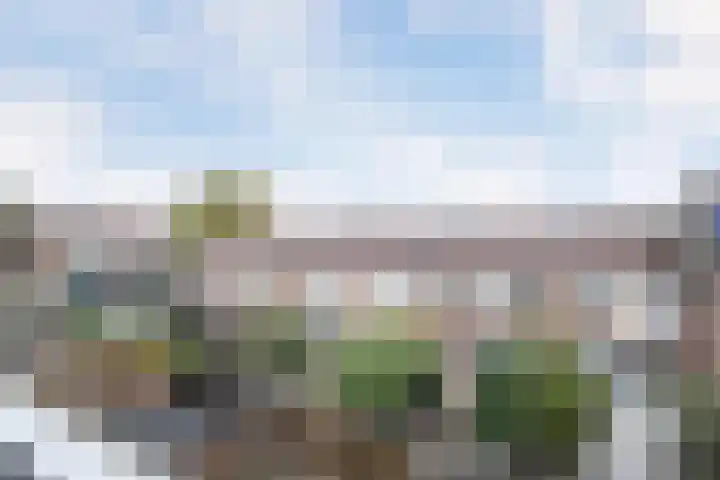 Tjalk 98 Schiedam thumbnail 14