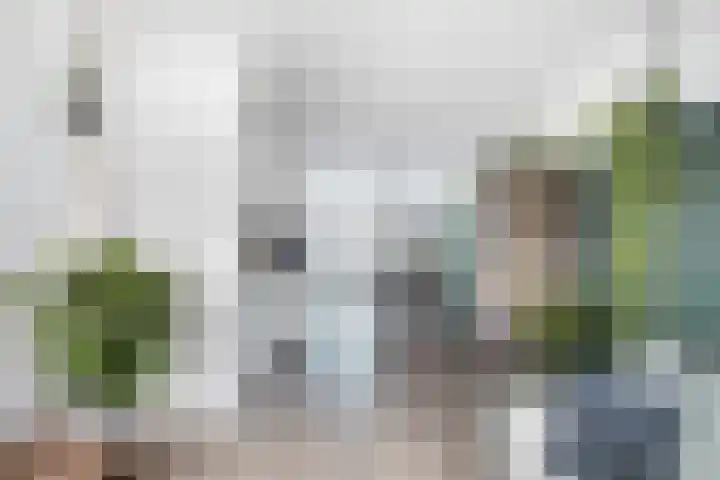 Tjalk 98 Schiedam thumbnail 6