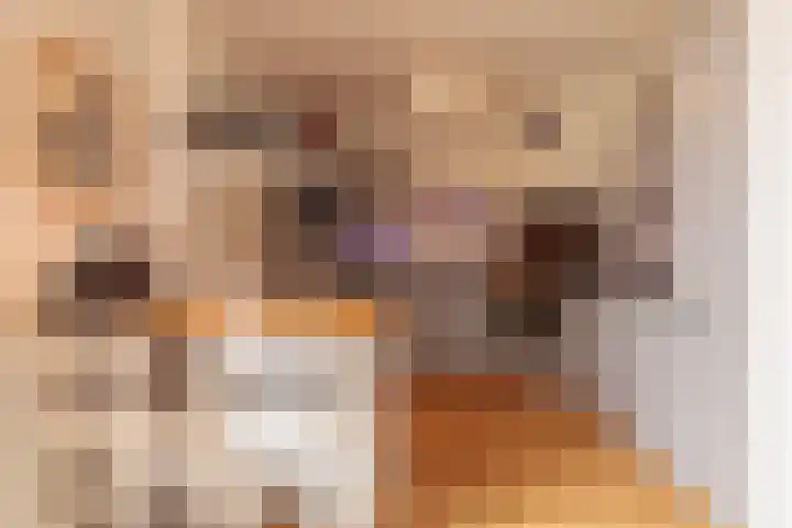 Tjalke de Boerstrjitte 1 Balk thumbnail 12
