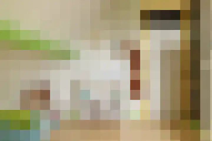 Tjalke de Boerstrjitte 1 Balk thumbnail 17