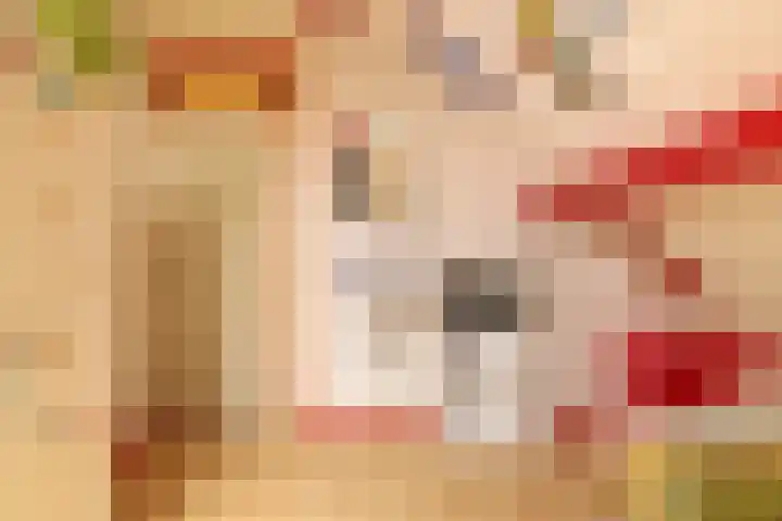 Tjalke de Boerstrjitte 1 Balk thumbnail 19
