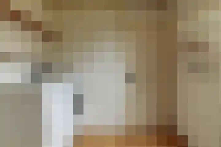 Tjalke de Boerstrjitte 1 Balk thumbnail 28
