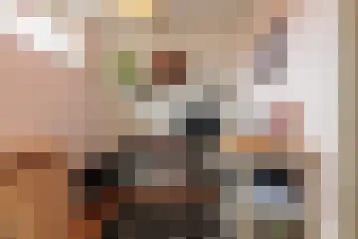 Tjalke de Boerstrjitte 1 Balk thumbnail 29