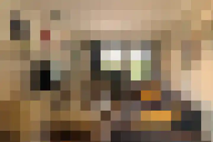Tjalke de Boerstrjitte 1 Balk thumbnail 31