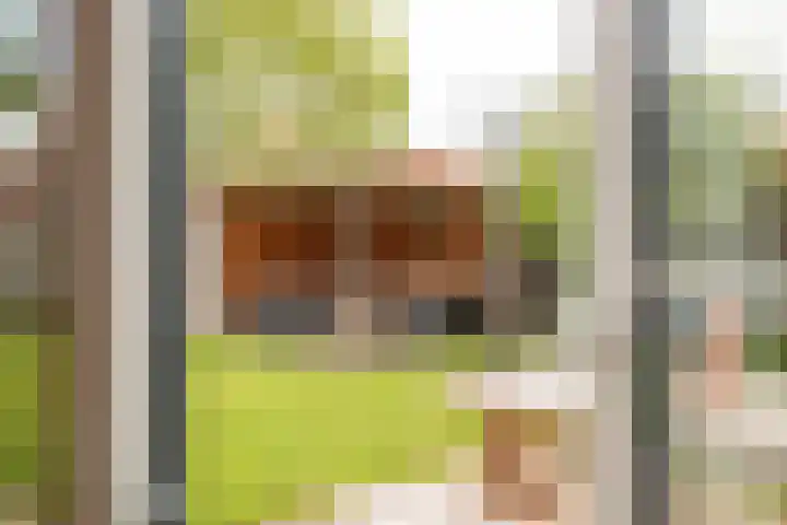 Tjalke de Boerstrjitte 1 Balk thumbnail 32