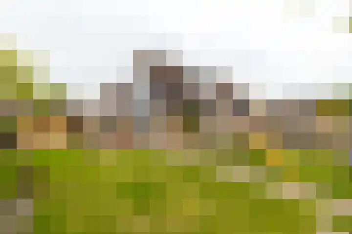 Tjalke de Boerstrjitte 1 Balk thumbnail 33